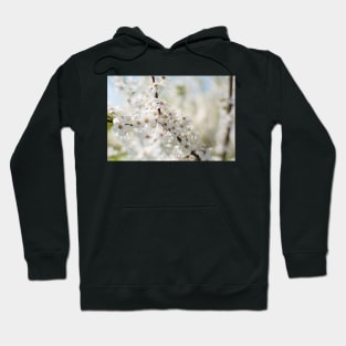 White cherry flowers Hoodie